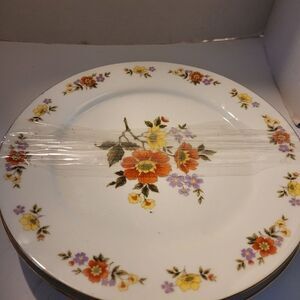 DYNASTY Fine China Newcor Dalian Pattern Beautiful authentic Vintage Dinner plat